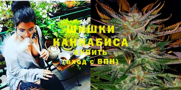 молекула духа Ельня