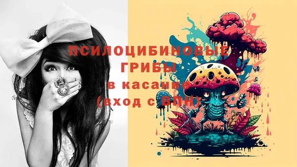 круглые Алексеевка